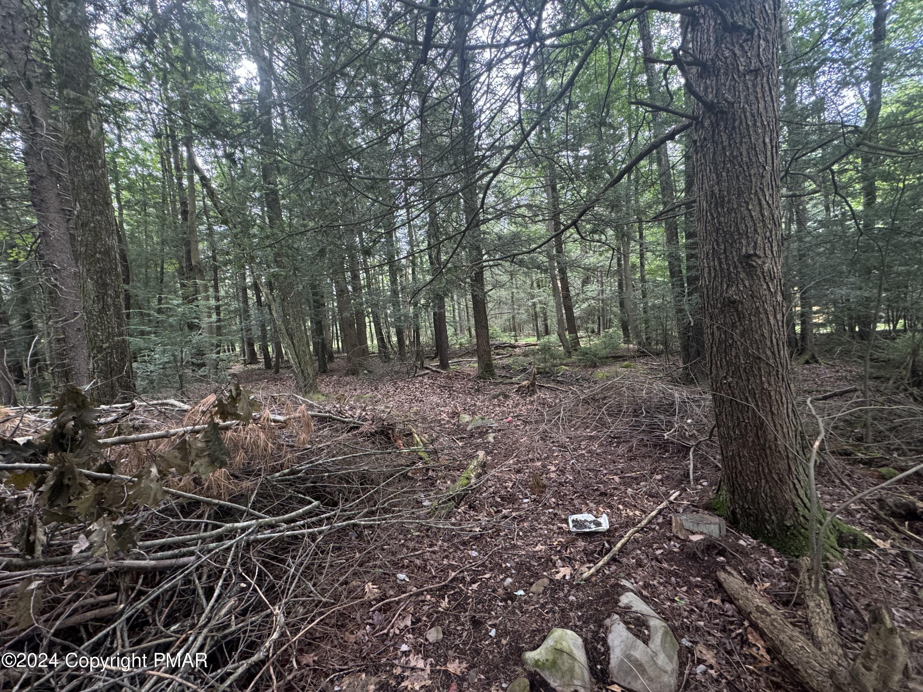 401 Whisper Dr 401 Drive, Pocono Summit, Pennsylvania image 8