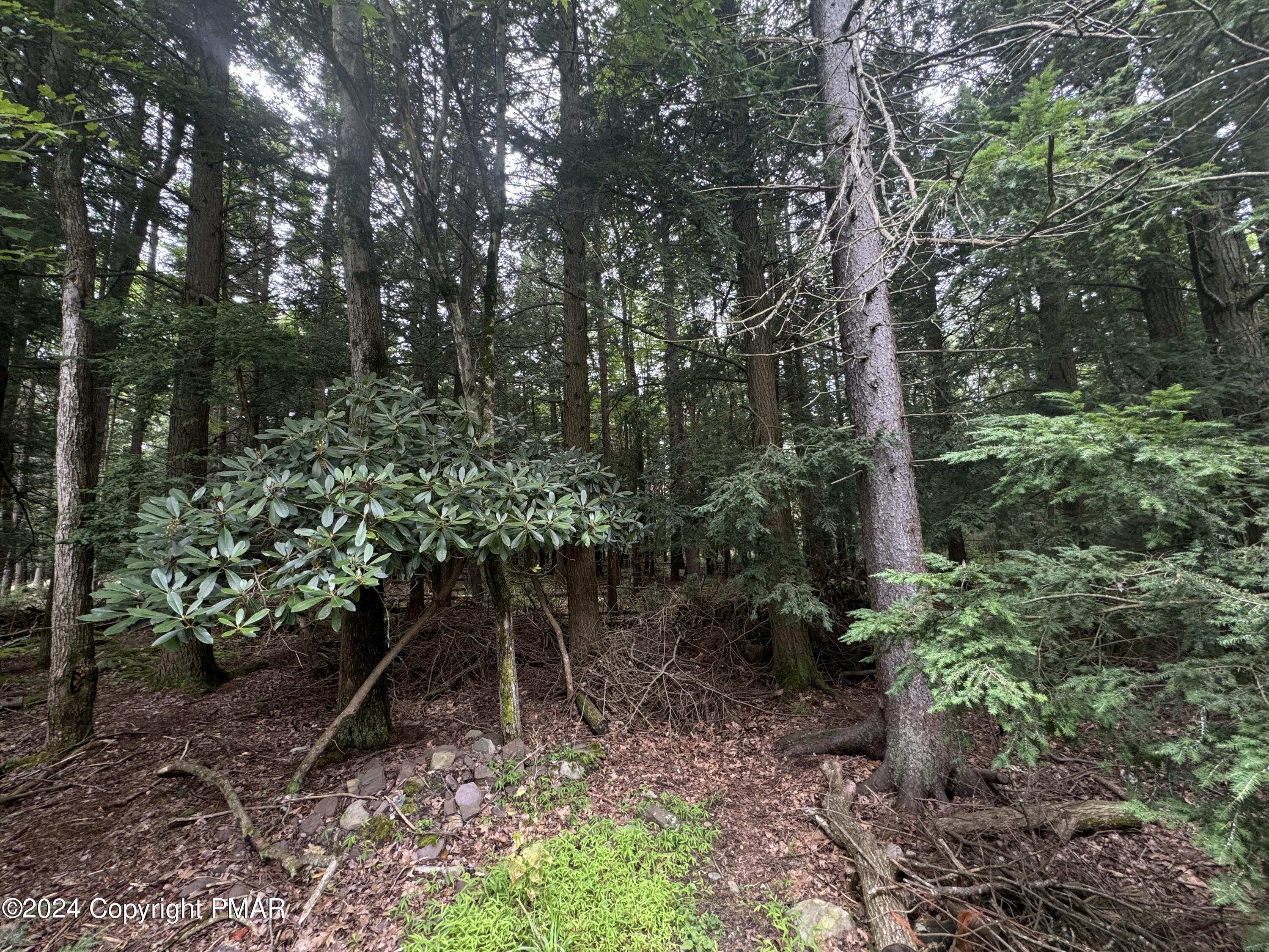 401 Whisper Dr 401 Drive, Pocono Summit, Pennsylvania image 7