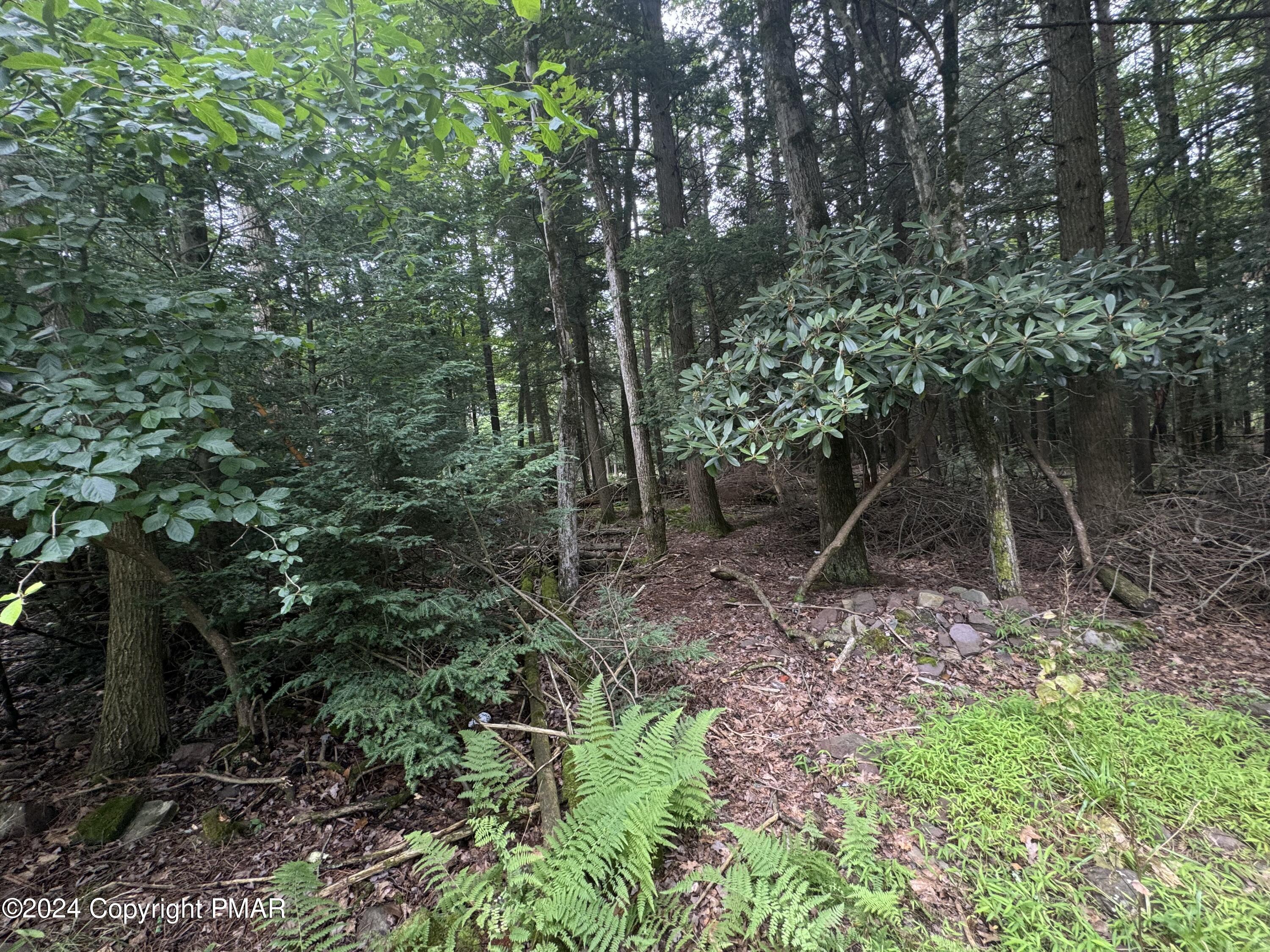 401 Whisper Dr 401 Drive, Pocono Summit, Pennsylvania image 5