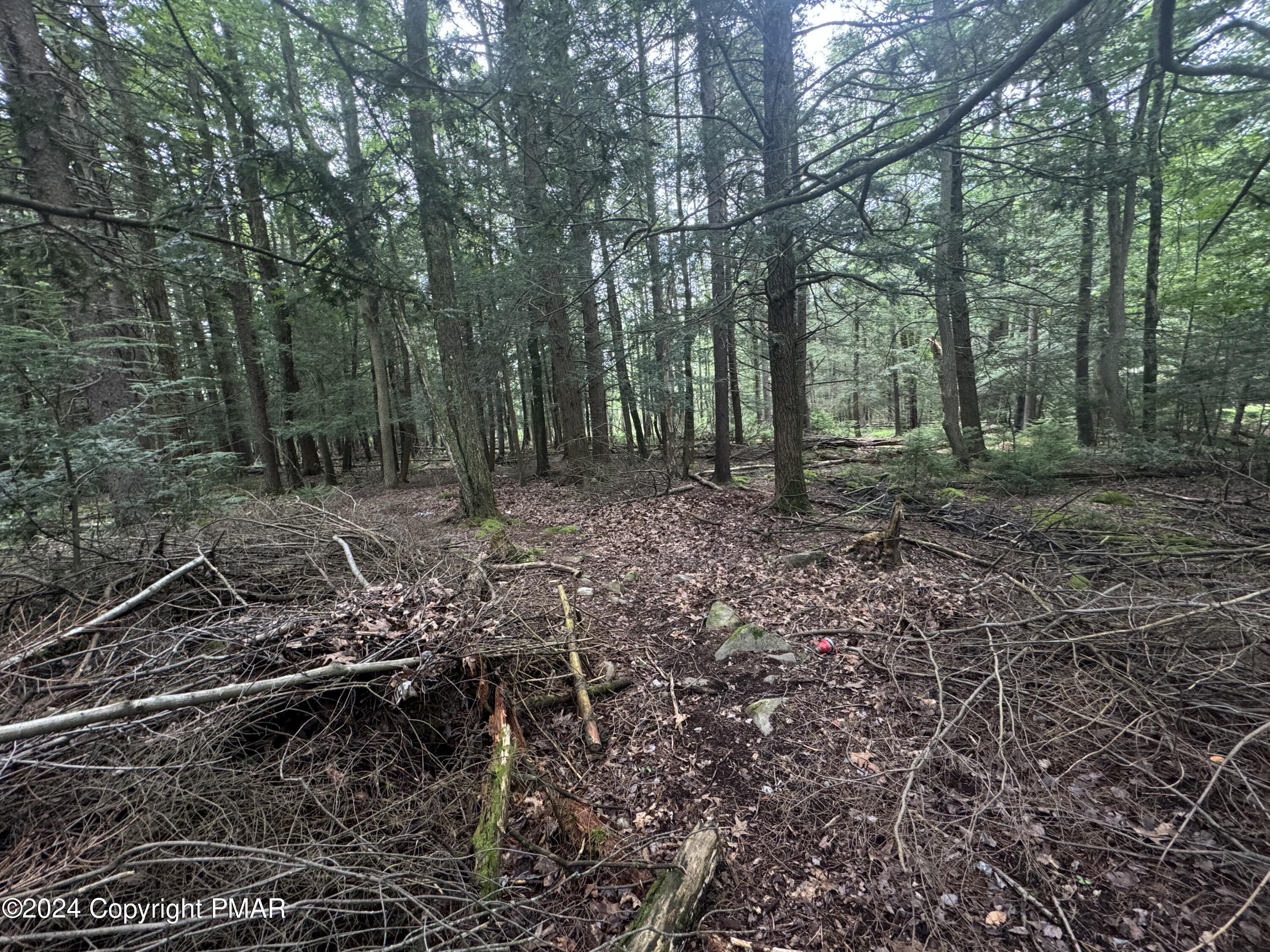 401 Whisper Dr 401 Drive, Pocono Summit, Pennsylvania image 9