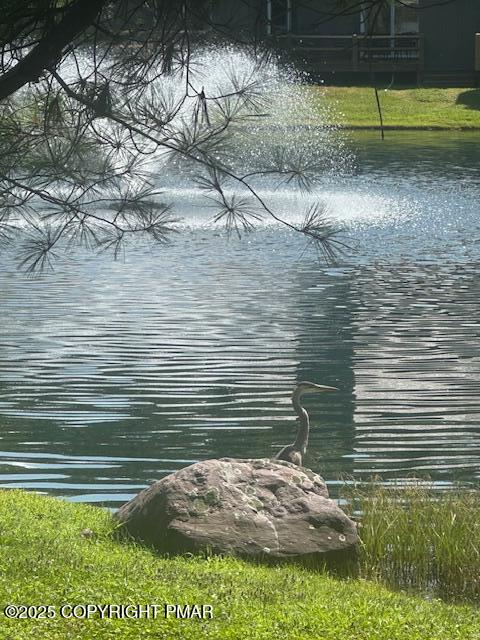 116 Snow Ridge Circle