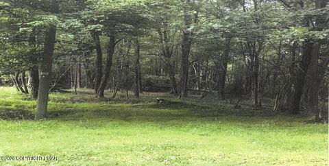 Vacant Land For Sale - Pine Tree Rd 824 Road<br/> Pocono Summit, PA 18346