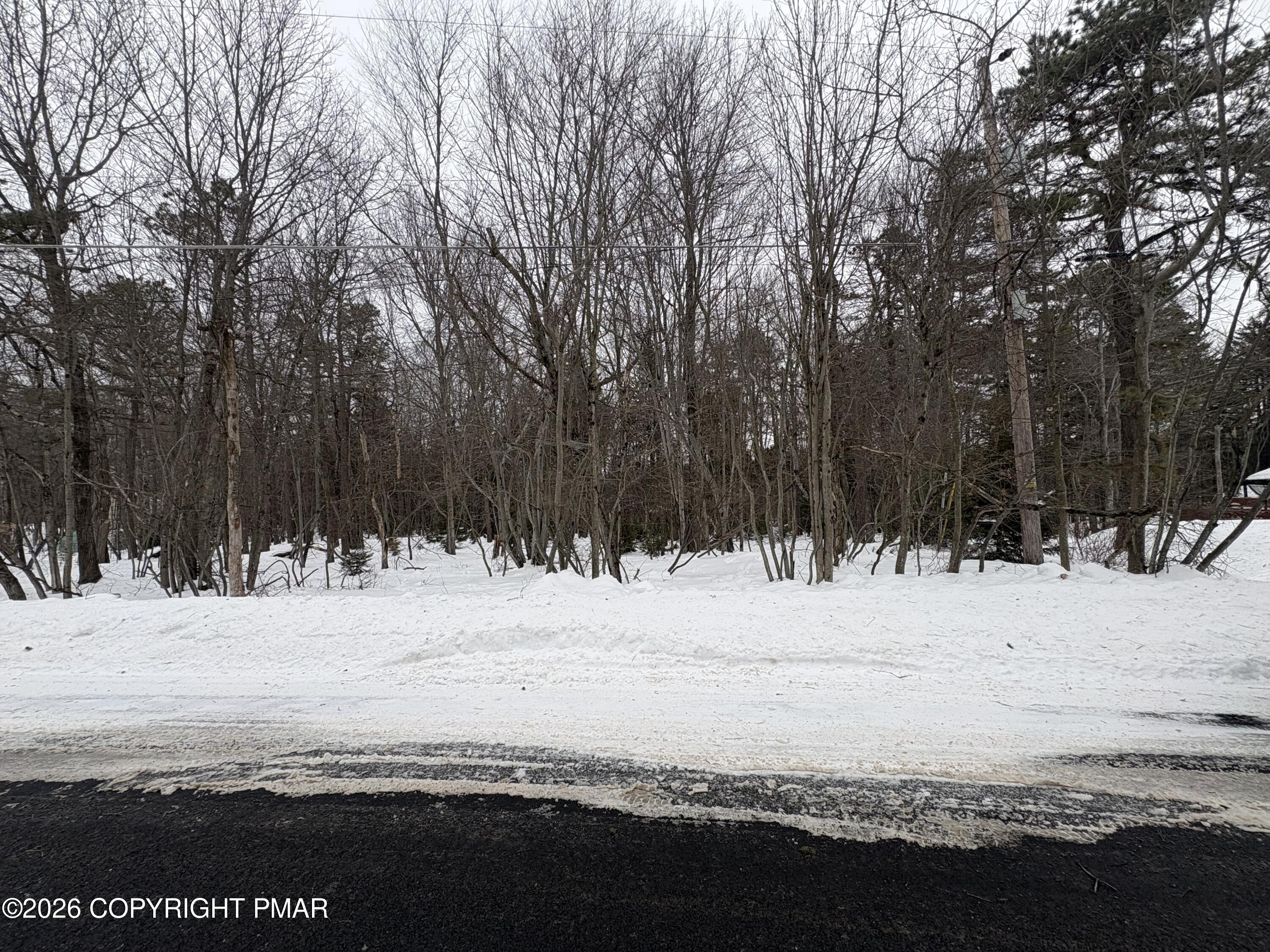 Pine Tree rd 824 Road