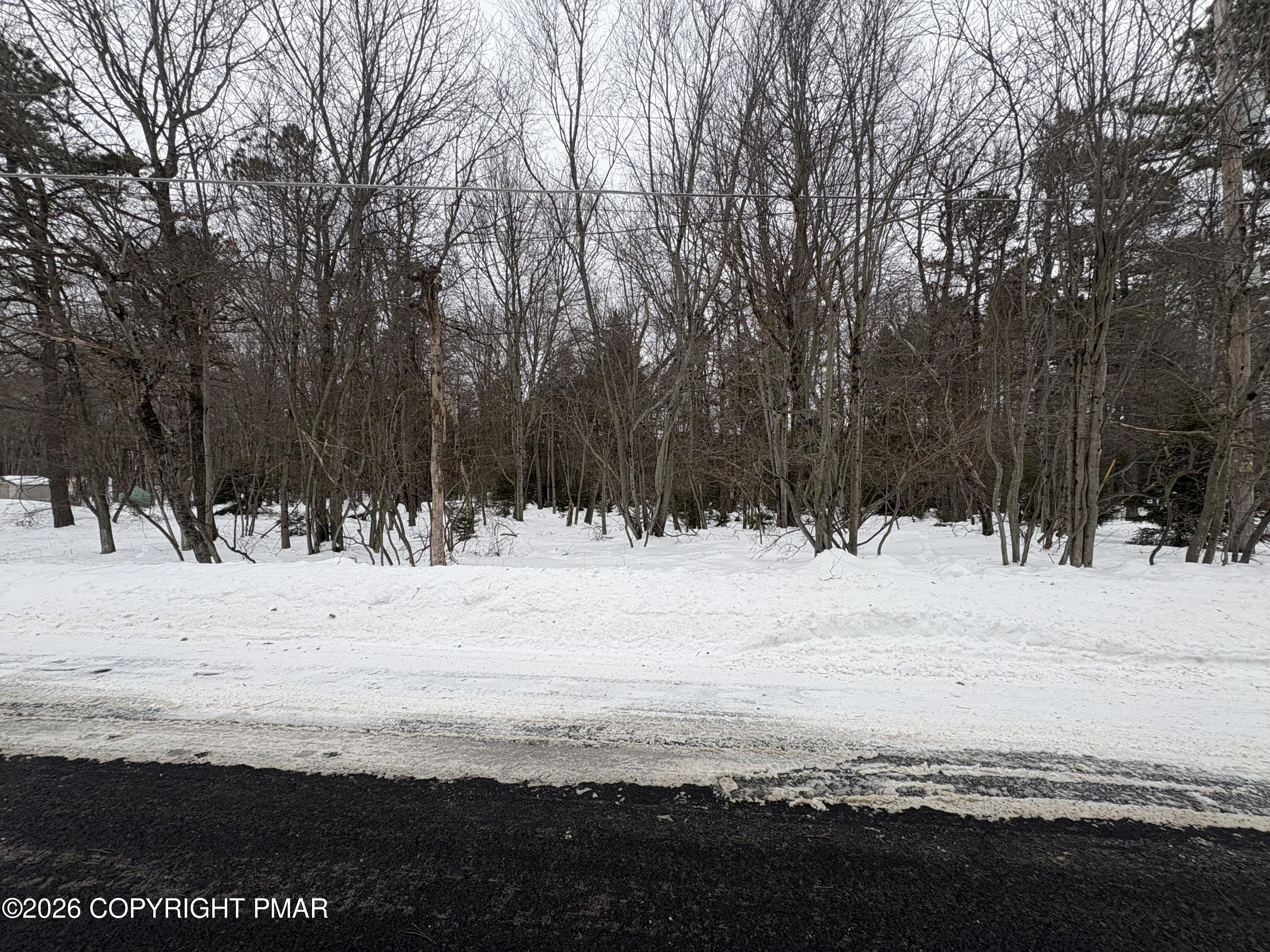 Pine Tree rd 824 Road