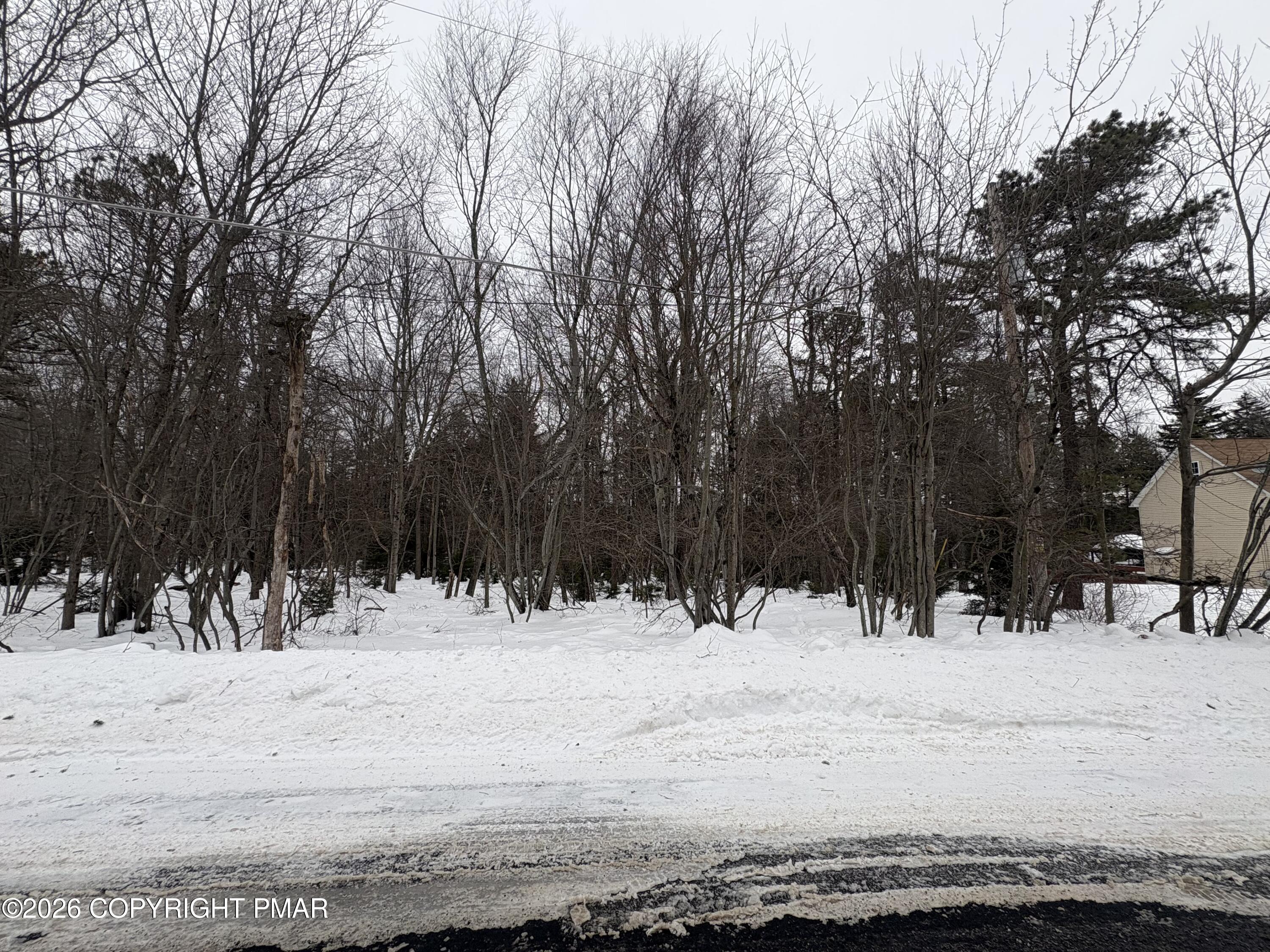 Pine Tree rd 824 Road