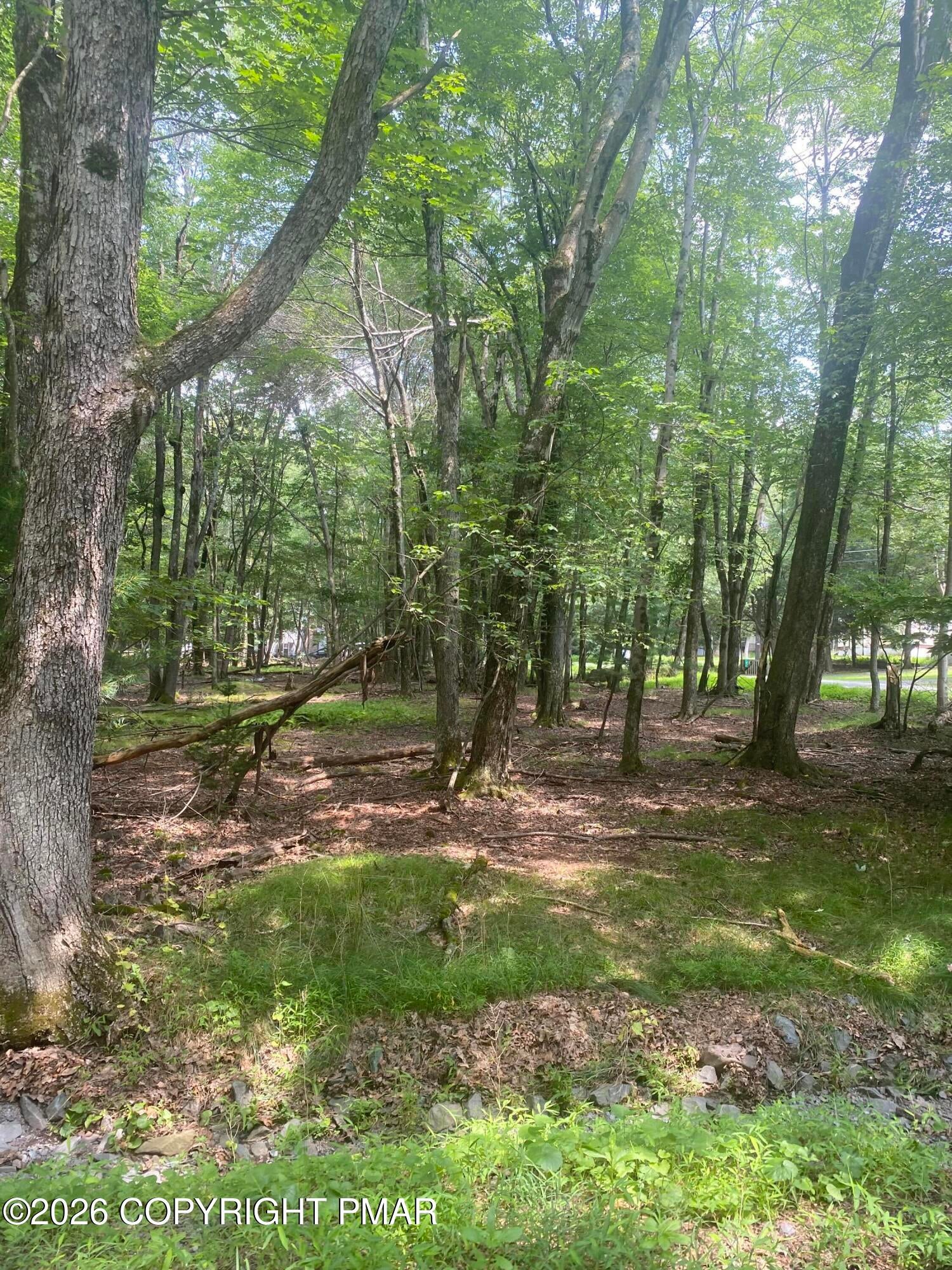 391 / Scenic Drive