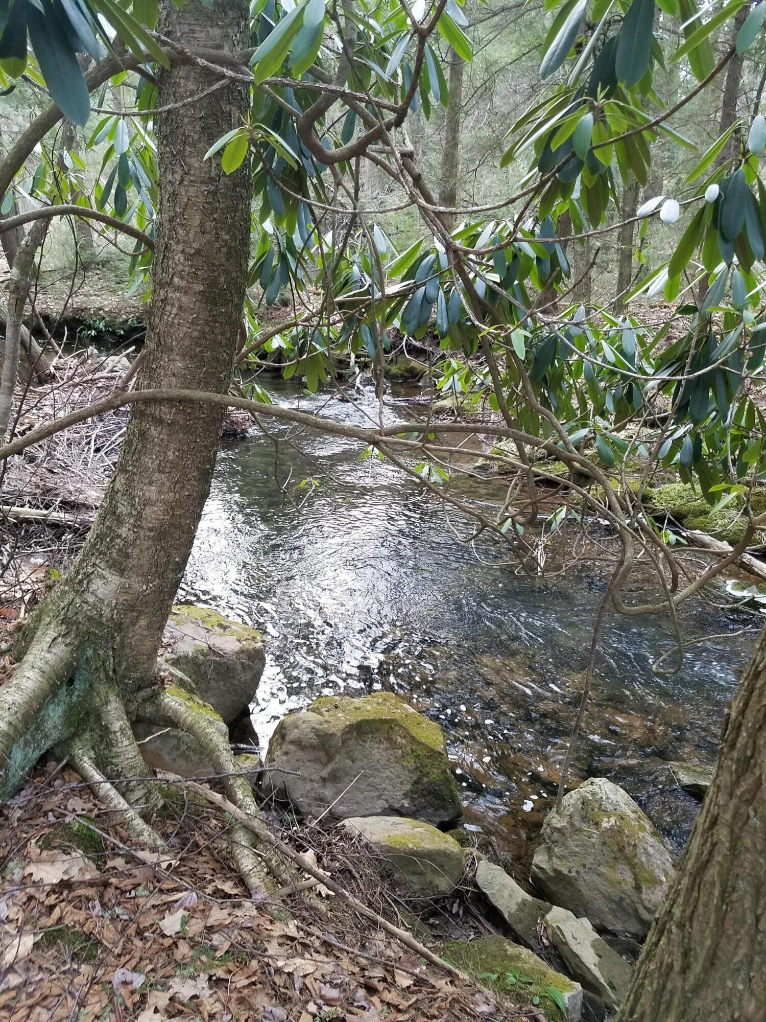 Old White Haven Lane, White Haven, Pennsylvania image 11