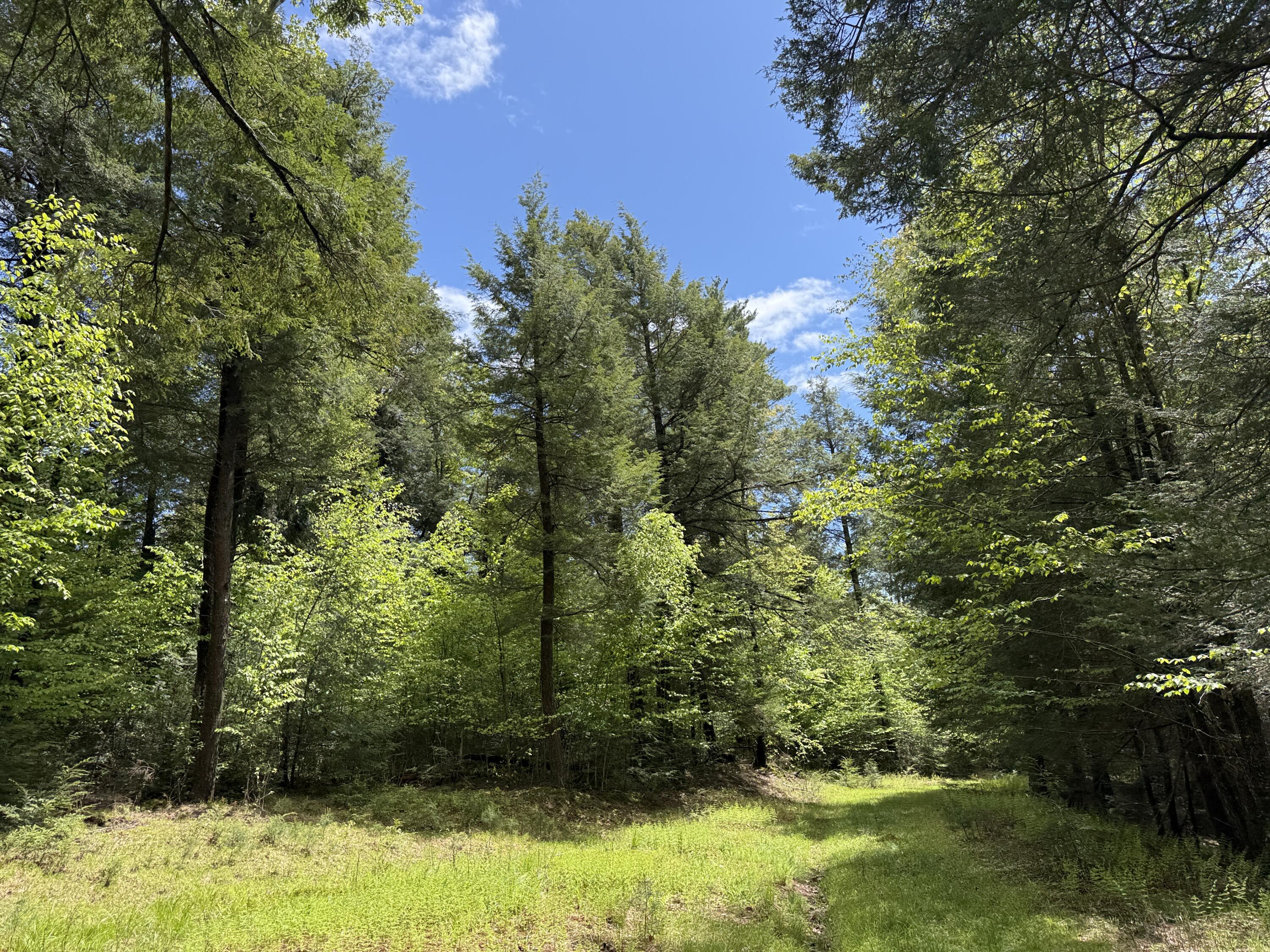 Old White Haven Lane, White Haven, Pennsylvania image 41