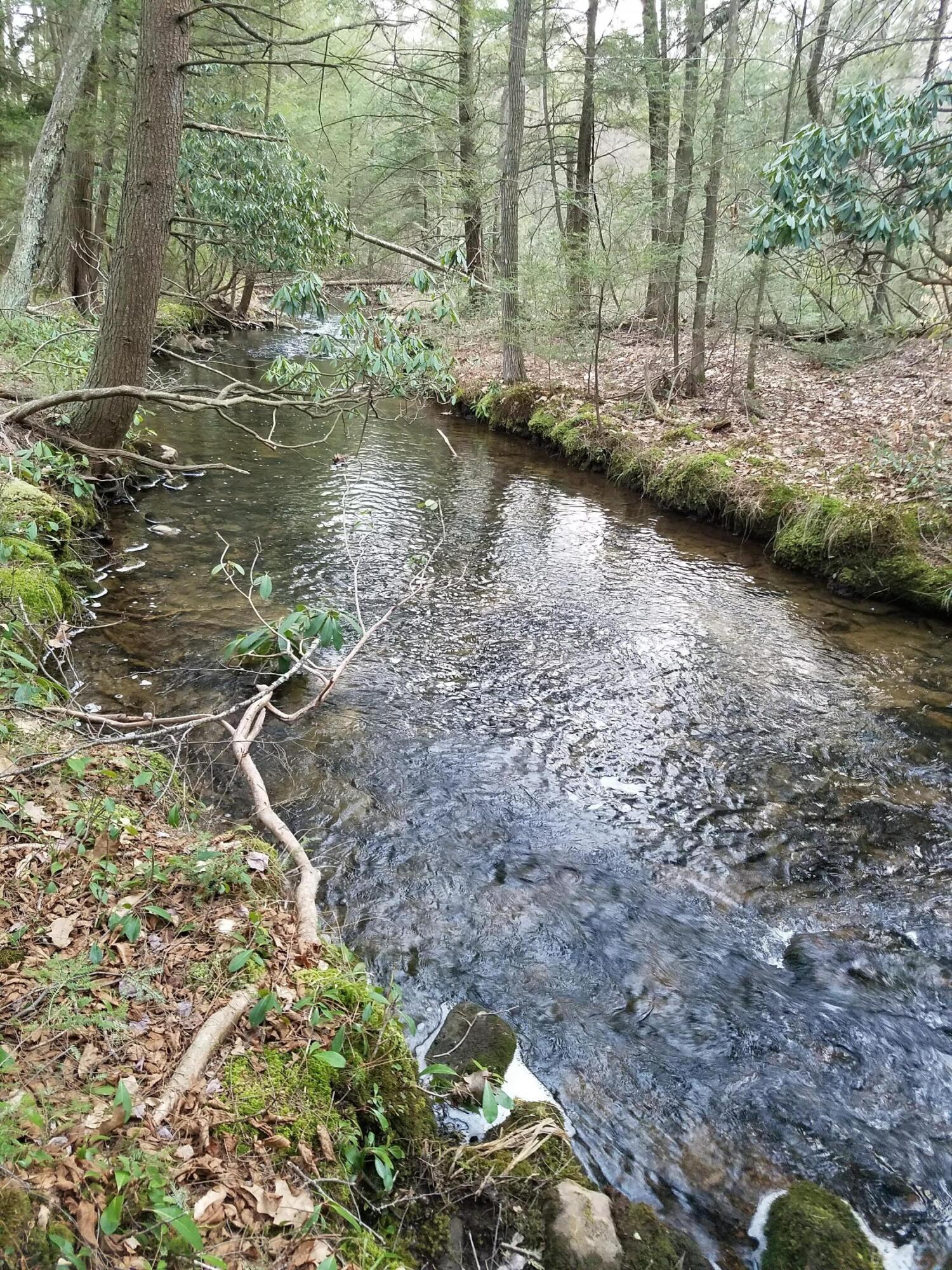 Old White Haven Lane, White Haven, Pennsylvania image 17