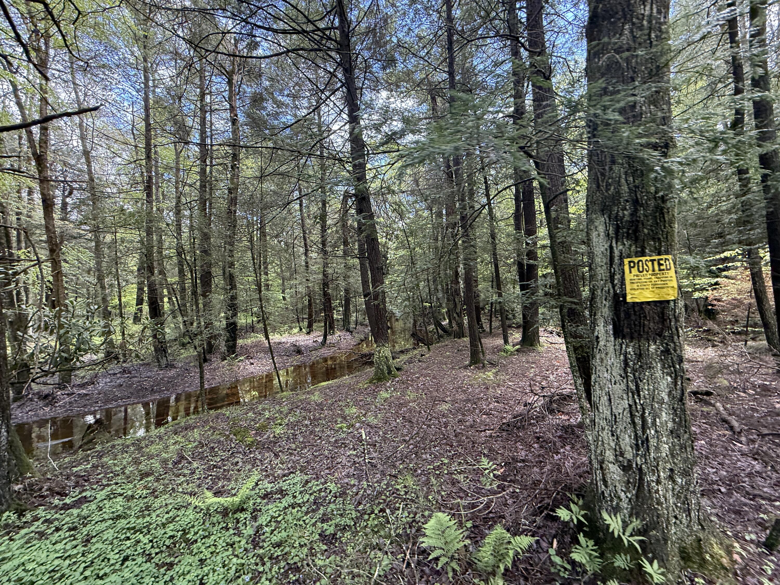 Old White Haven Lane, White Haven, Pennsylvania image 35