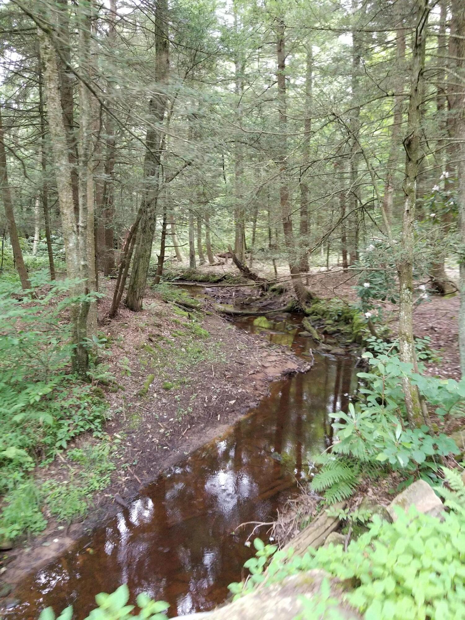 Old White Haven Lane, White Haven, Pennsylvania image 20