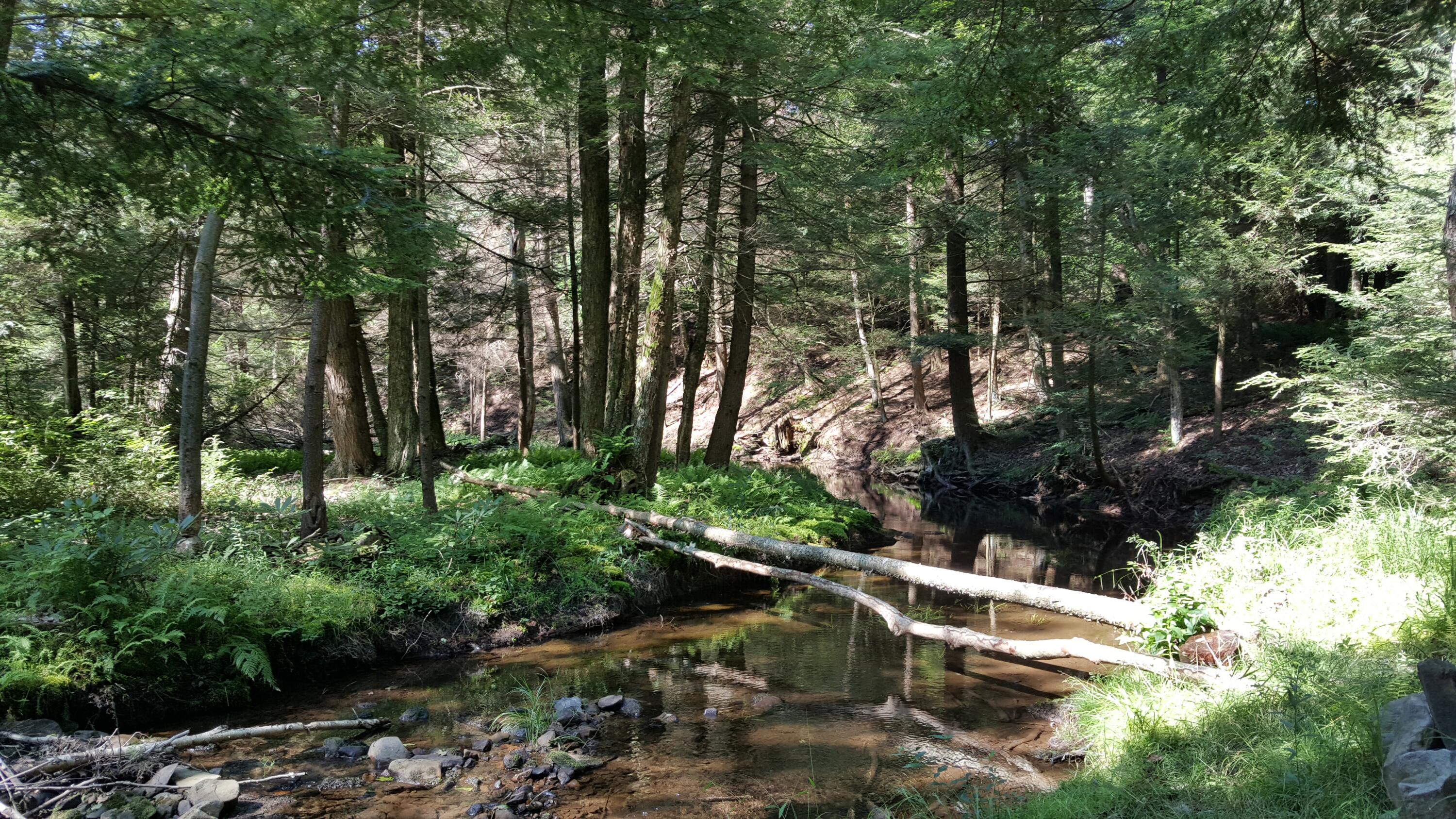Old White Haven Lane, White Haven, Pennsylvania image 7