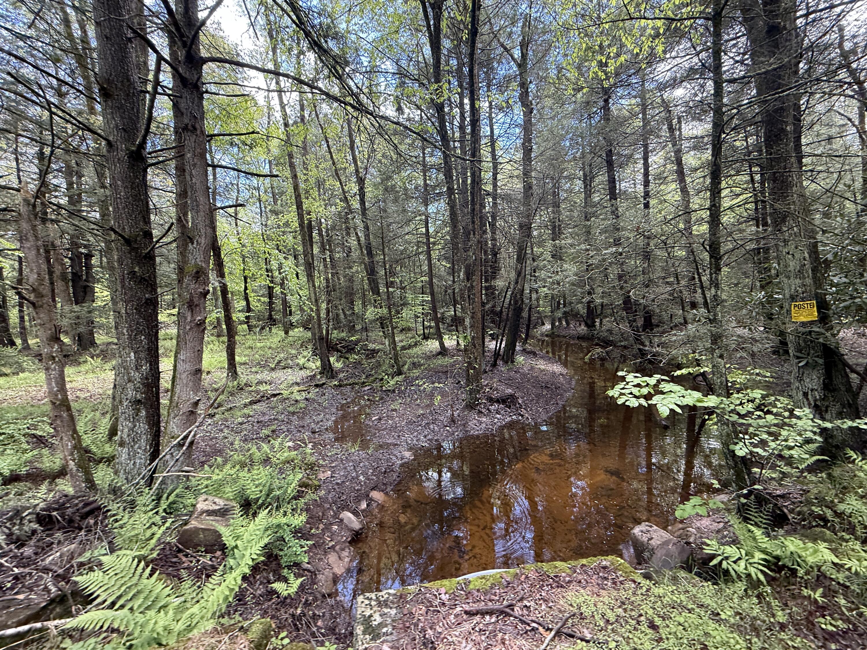 Old White Haven Lane, White Haven, Pennsylvania image 32
