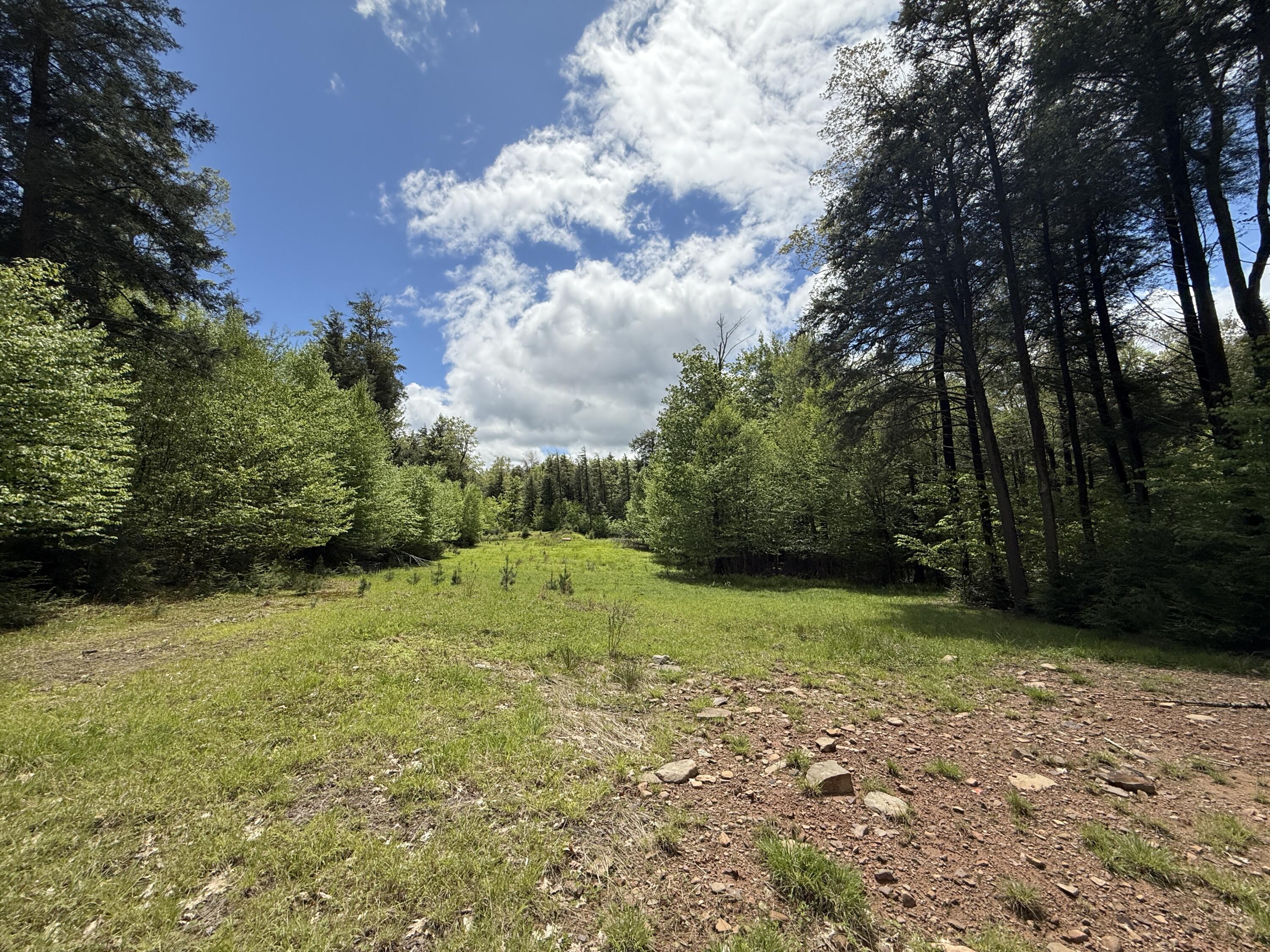 Old White Haven Lane, White Haven, Pennsylvania image 43