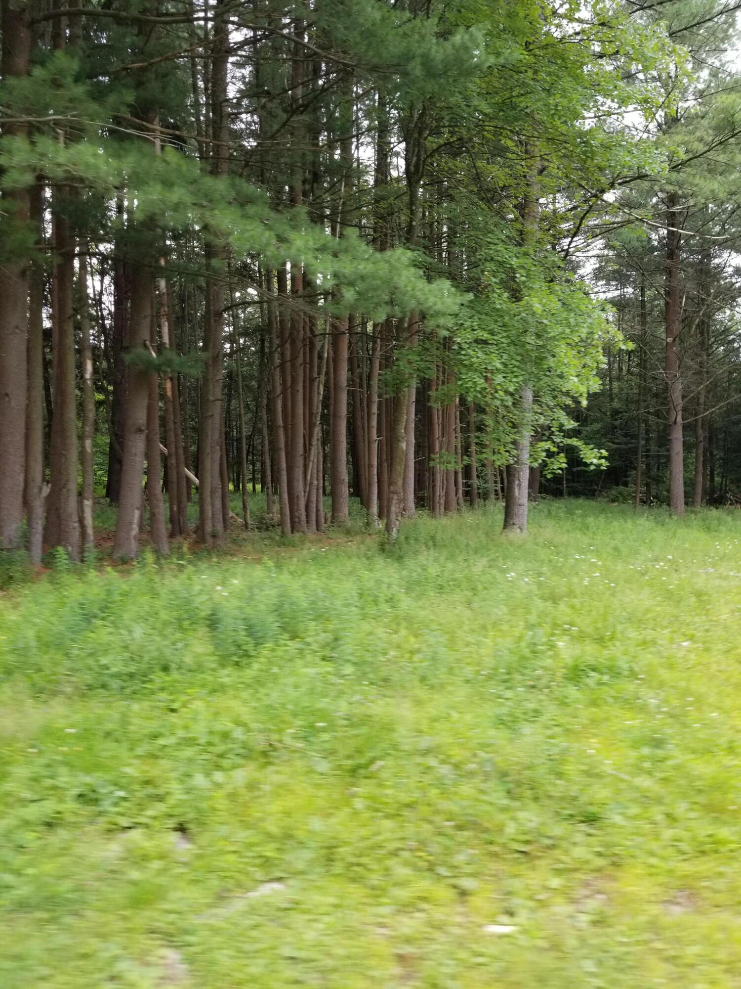 Old White Haven Lane, White Haven, Pennsylvania image 23