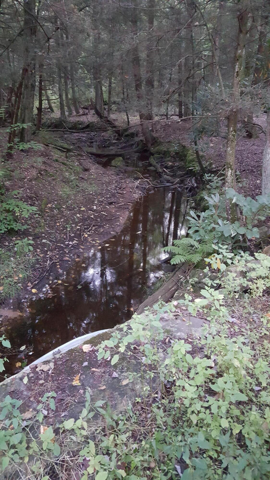 Old White Haven Lane, White Haven, Pennsylvania image 4