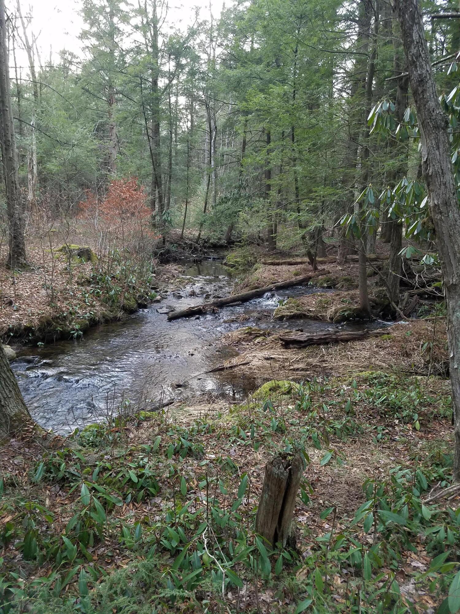 Old White Haven Lane, White Haven, Pennsylvania image 16