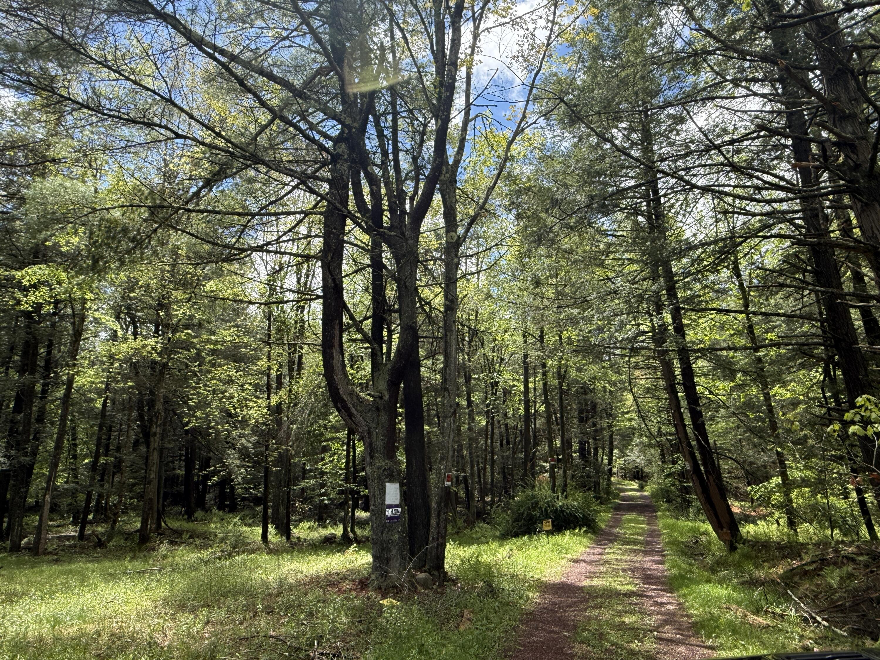 Old White Haven Lane, White Haven, Pennsylvania image 31
