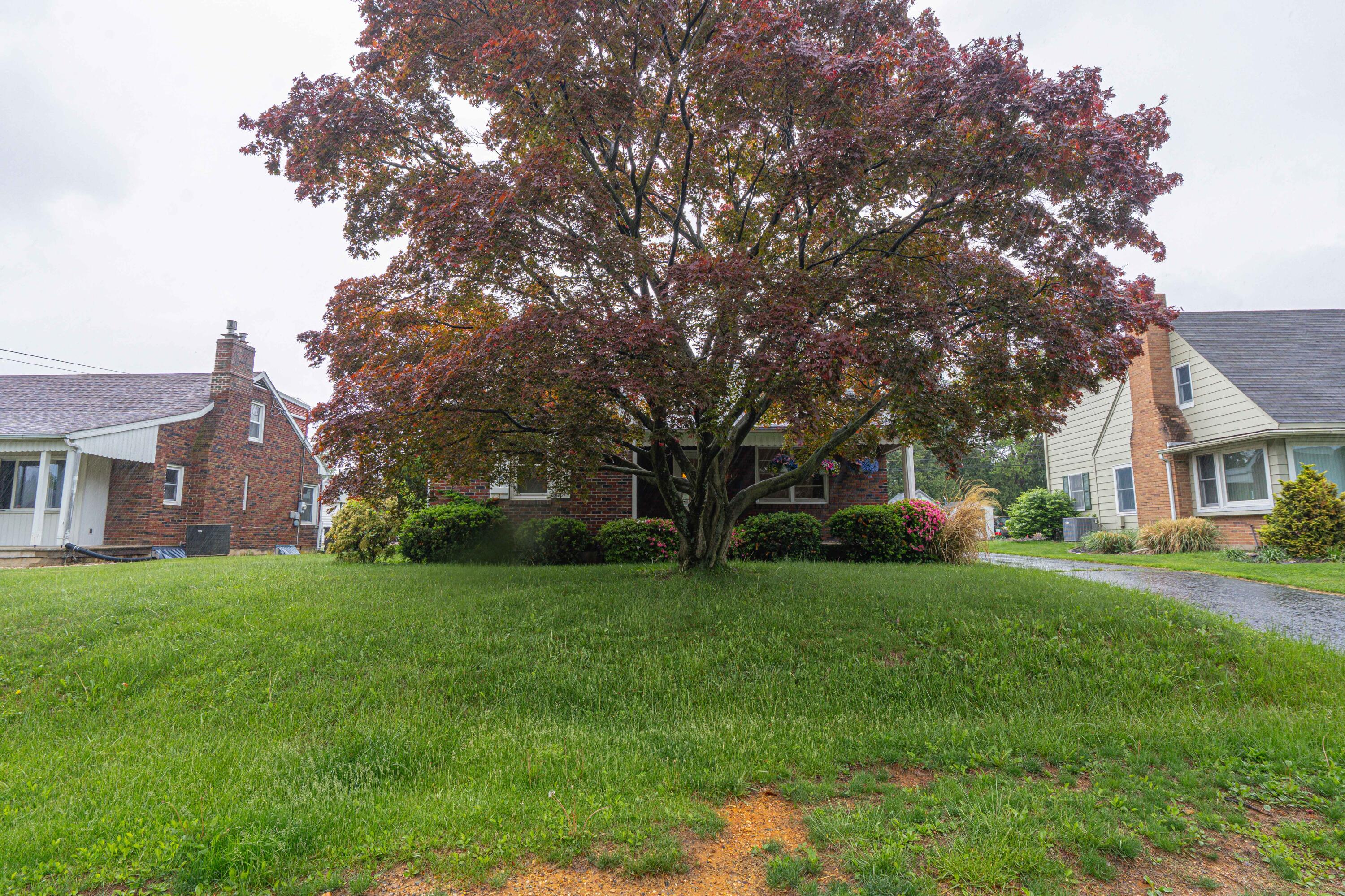 2357 Albright Avenue, Allentown, Pennsylvania image 1