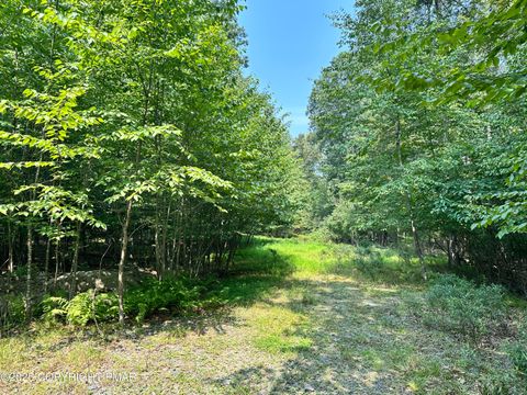Vacant Land For Sale - Private Dr 2c<br/> Henryville, PA 18332