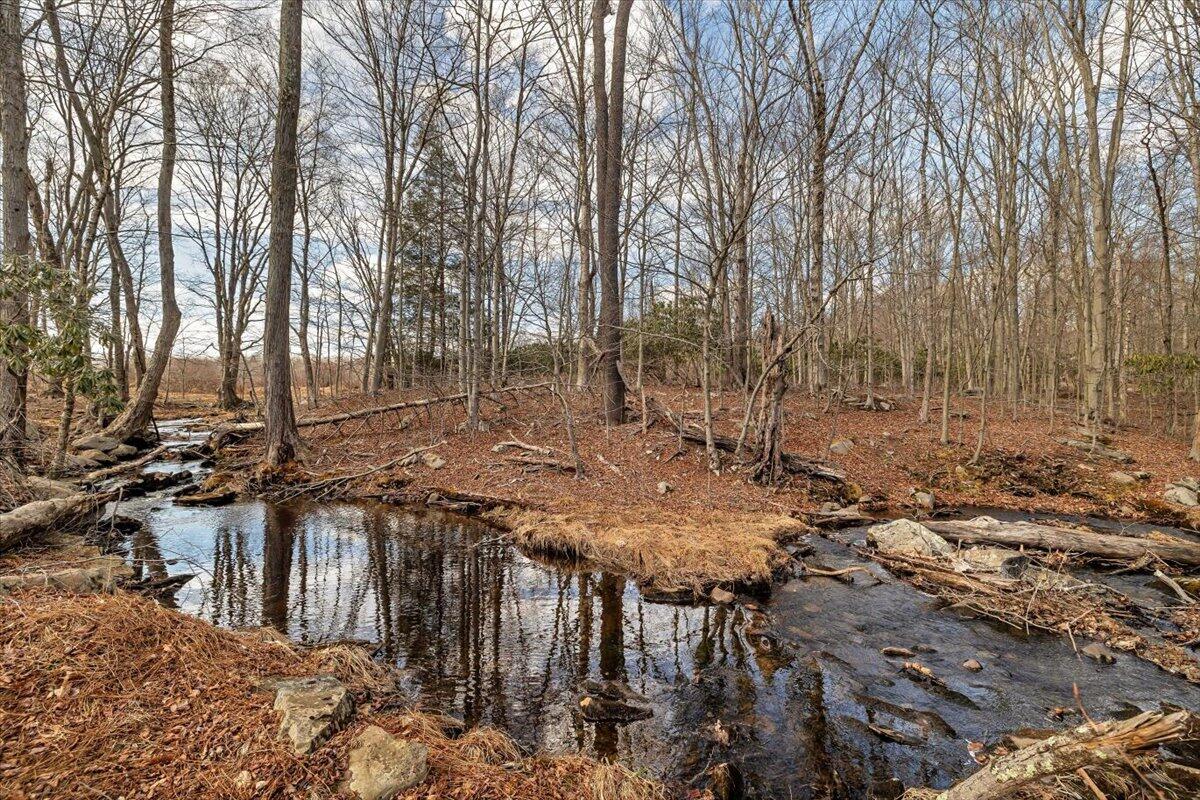 165 Lake In The Clouds Road, Canadensis, Pennsylvania image 9