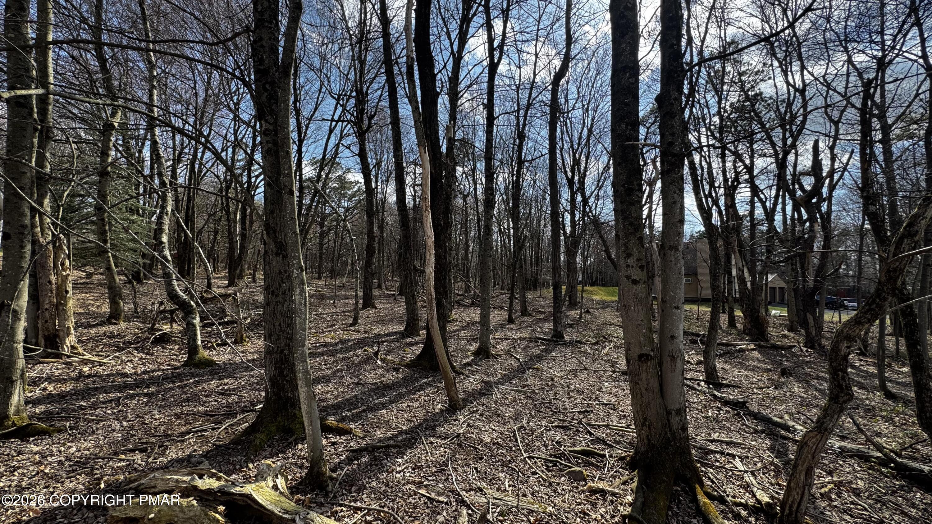 Stony Mountain Road Stony Mountain