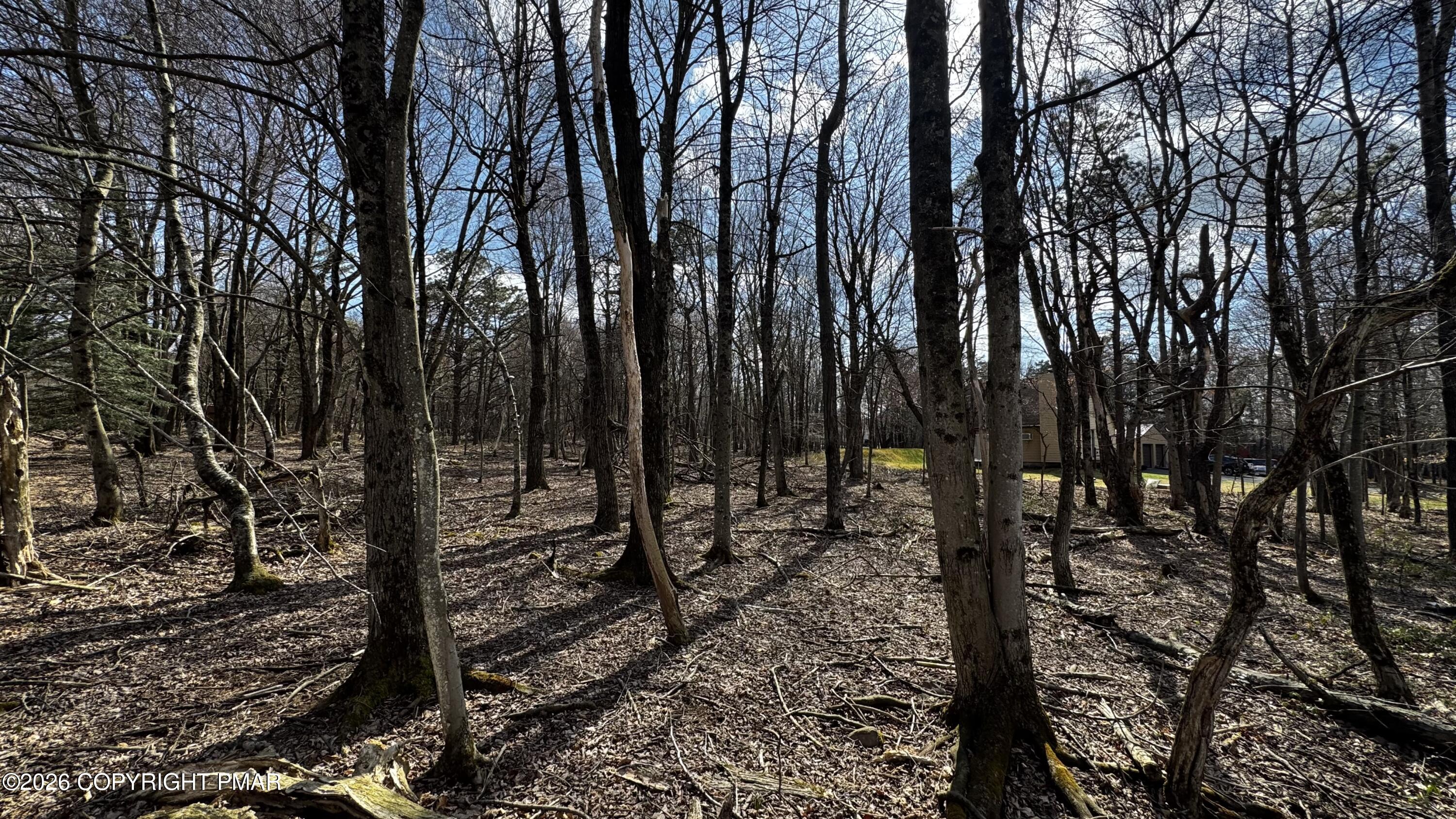 Stony Mountain Road Stony Mountain