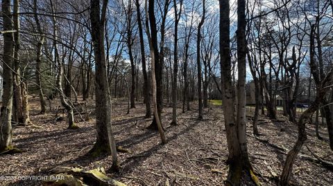 Stony Mountain Road Stony Mountain Albrightsville PA 18210