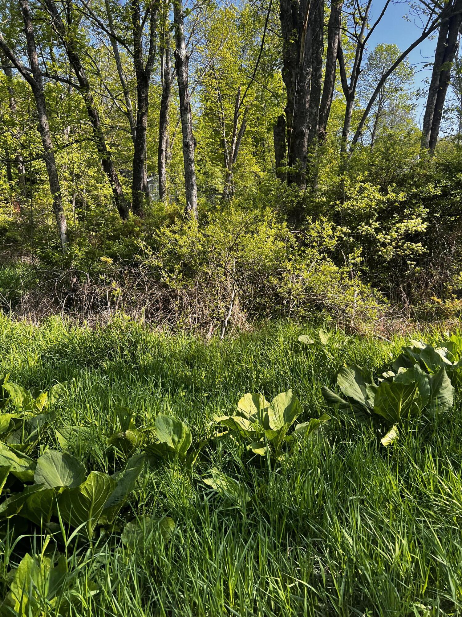 Lot 412-413 Marilou Lane, Bartonsville, Pennsylvania image 5