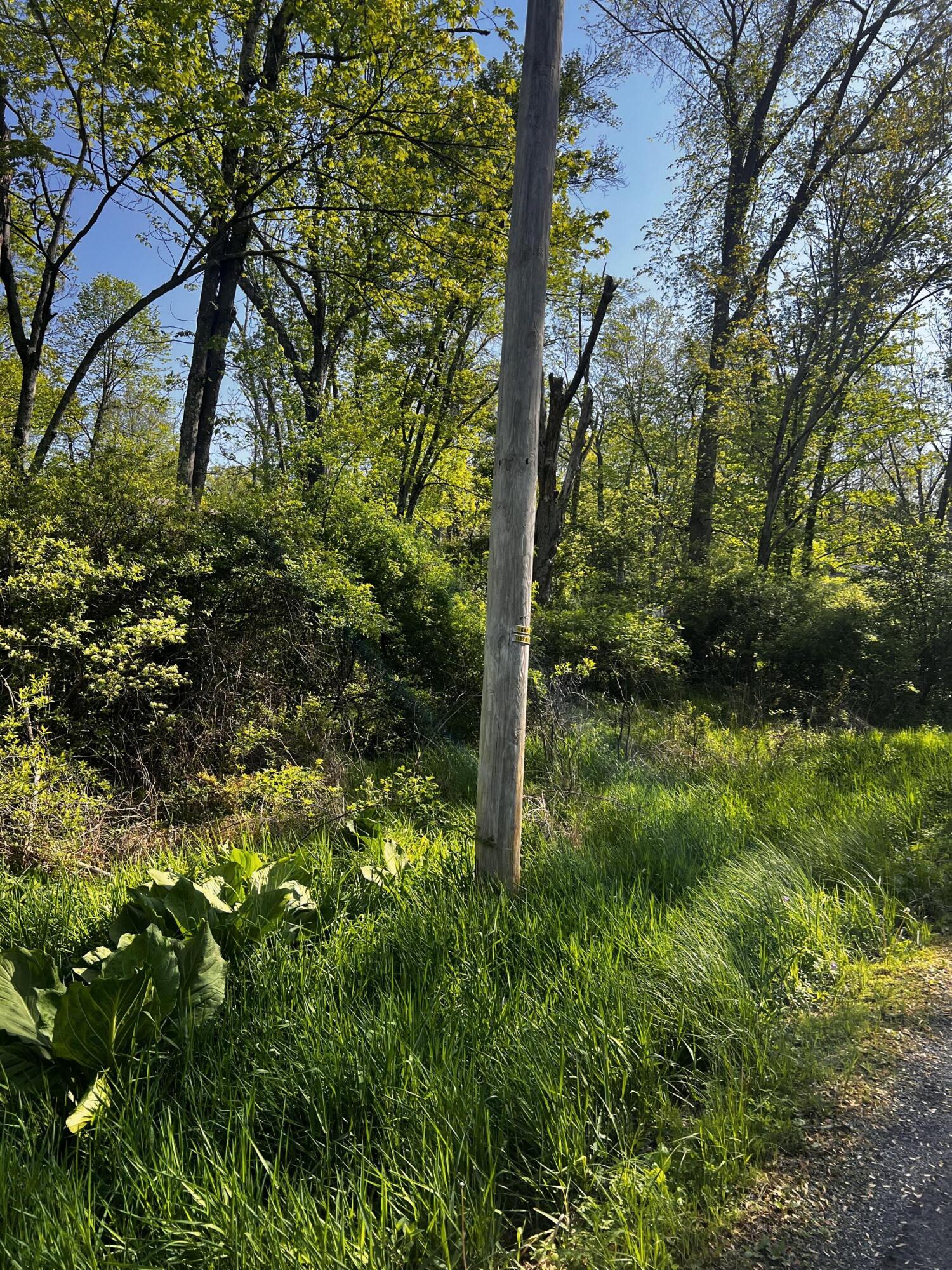 Lot 412-413 Marilou Lane, Bartonsville, Pennsylvania image 6