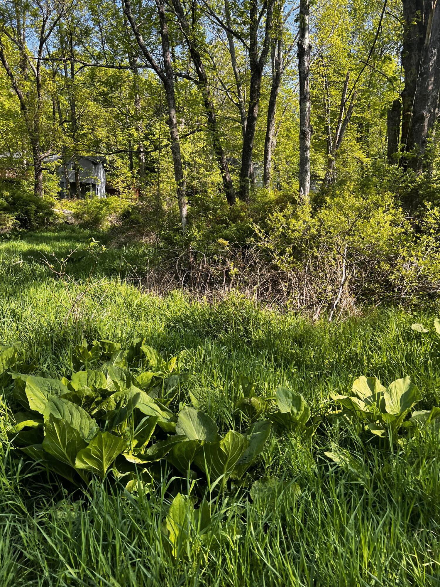 Lot 412-413 Marilou Lane, Bartonsville, Pennsylvania image 3