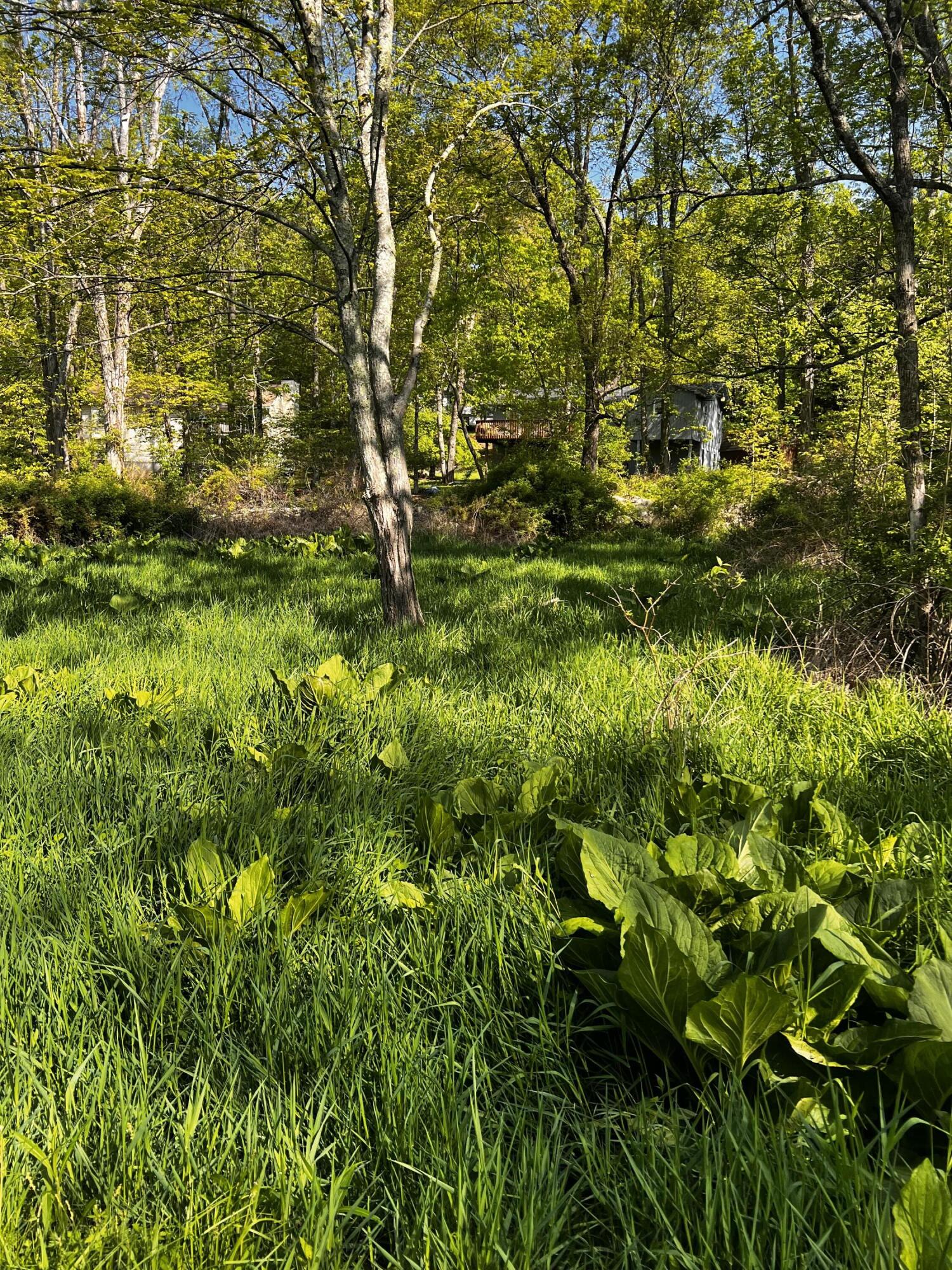 Lot 412-413 Marilou Lane, Bartonsville, Pennsylvania image 4