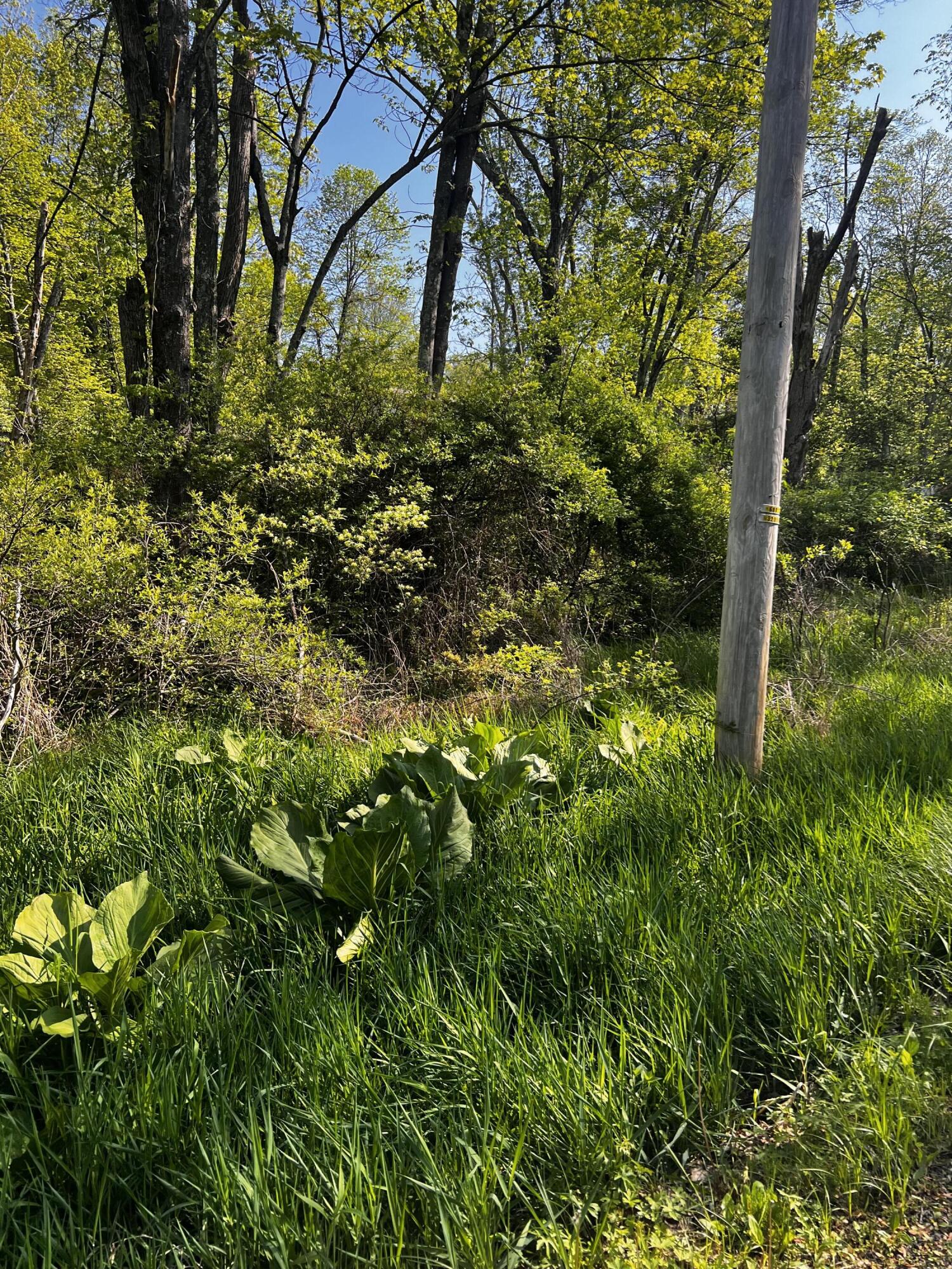 Lot 412-413 Marilou Lane, Bartonsville, Pennsylvania image 2