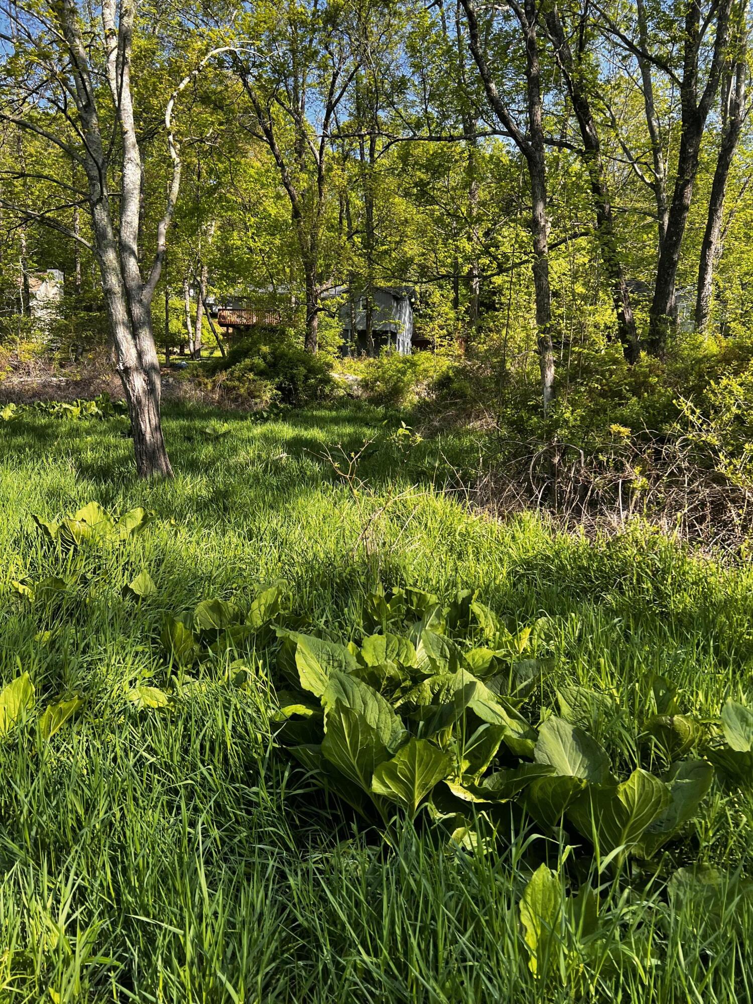 Lot 412-413 Marilou Lane, Bartonsville, Pennsylvania image 1