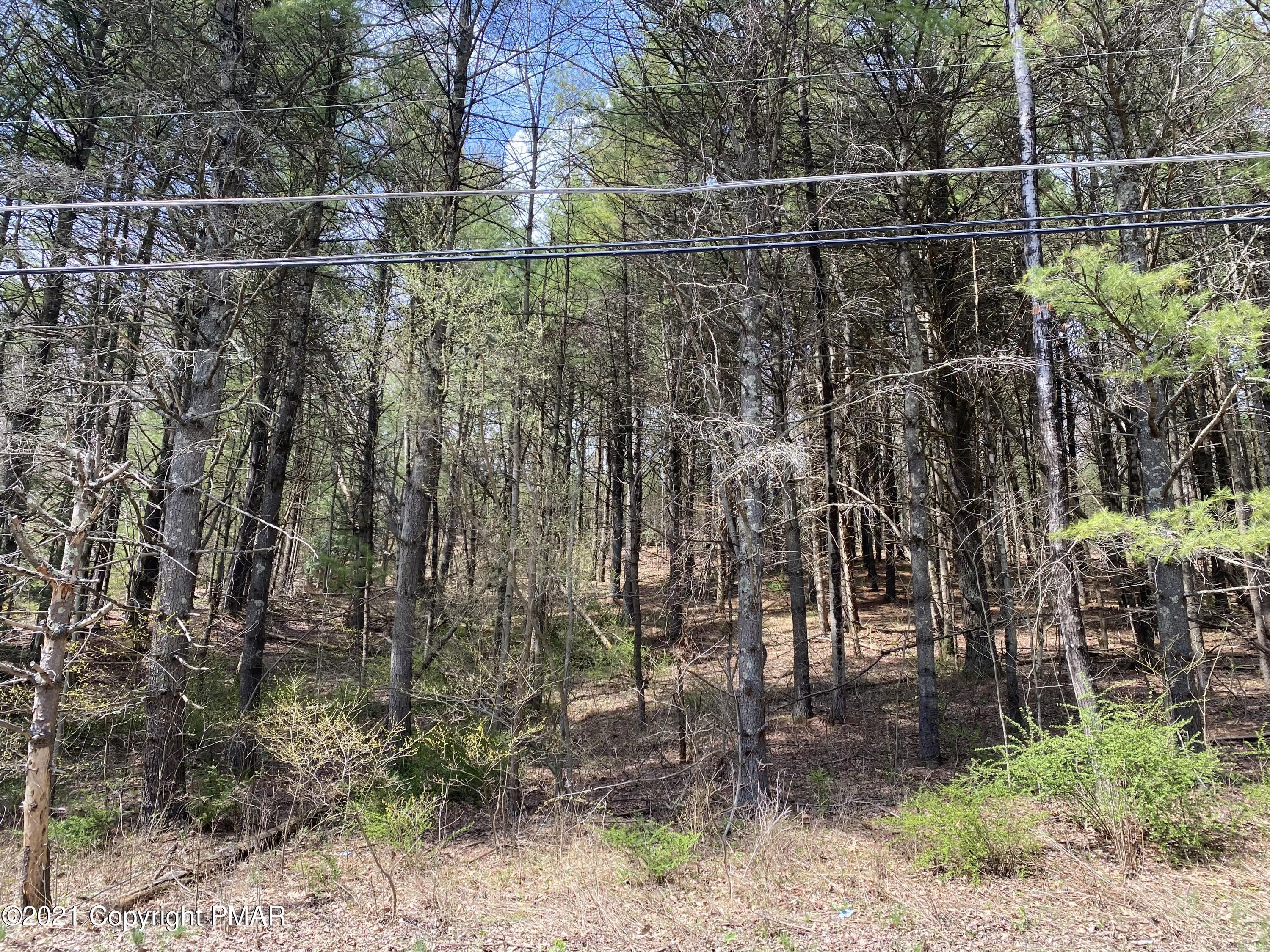 Haney Road, Kunkletown, Pennsylvania image 6