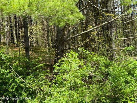 Vacant Land For Sale - Haney Road<br/> Monroe County, Kunkletown, PA 18058