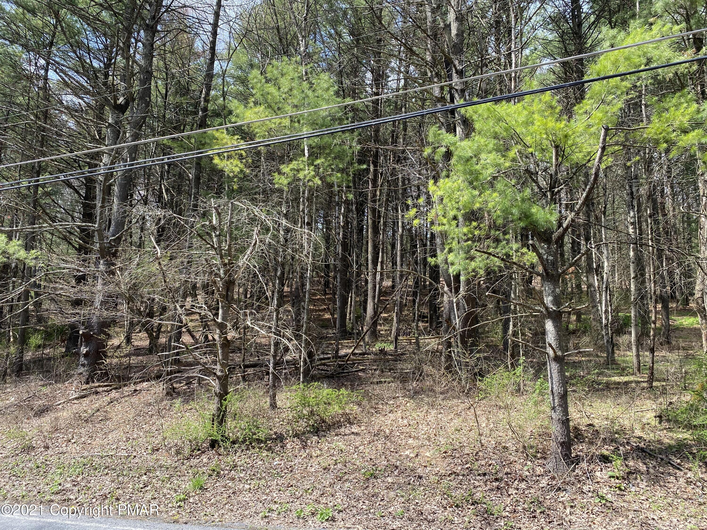 Haney Road, Kunkletown, Pennsylvania image 5