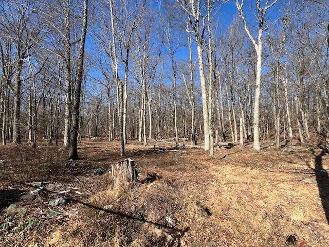 172 Traverse Road, Dingmans Ferry, Pennsylvania image 10