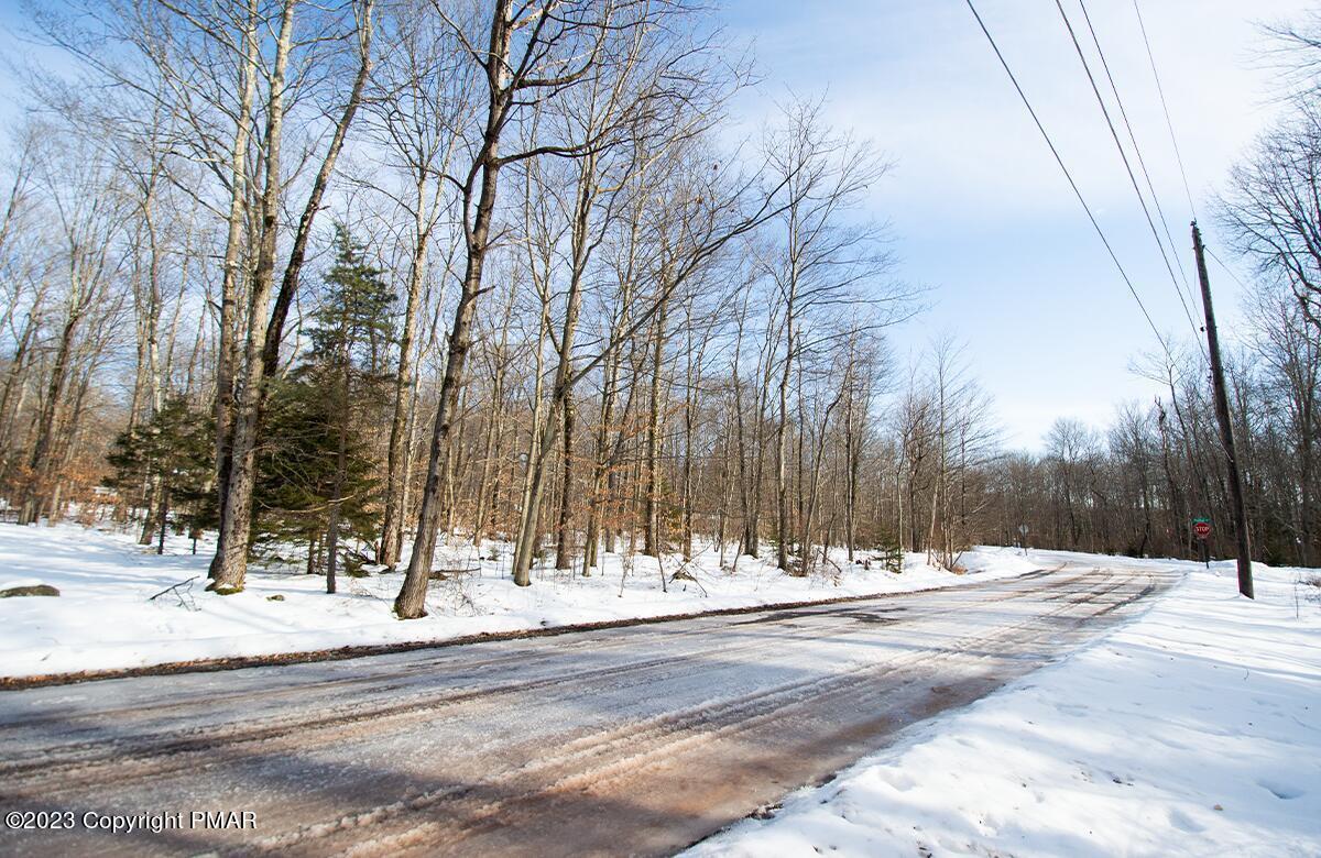 Lot 260 Pontiac Path, Pocono Lake, Pennsylvania image 1