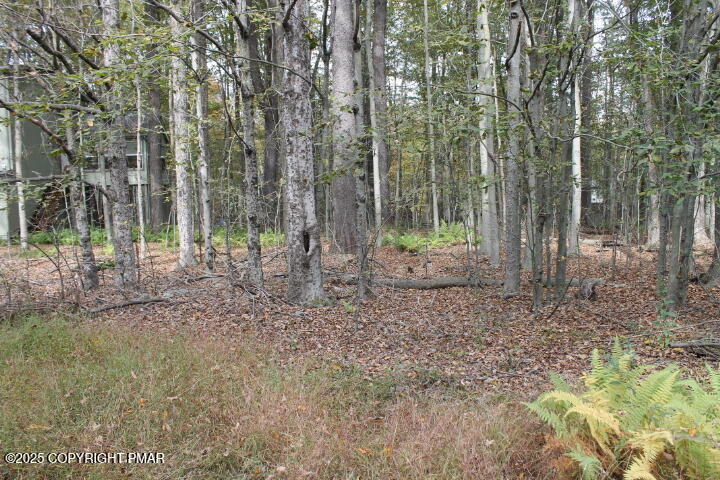 Paxino S Dr1 6 Drive