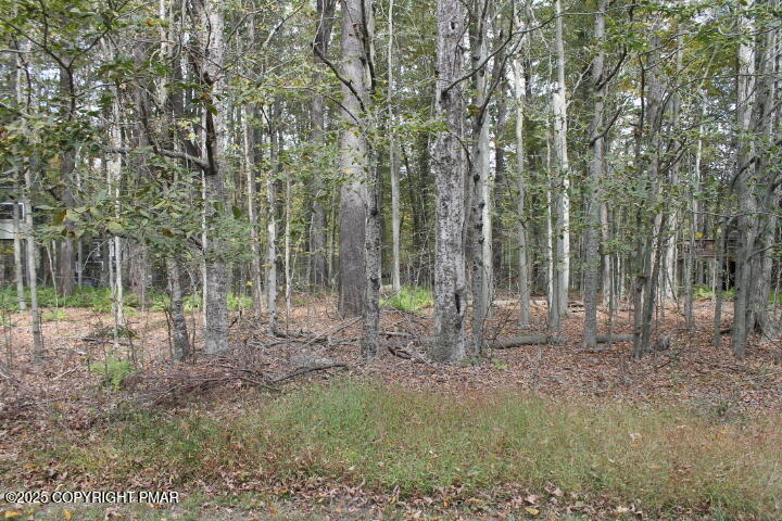 Paxino S Dr1 6 Drive