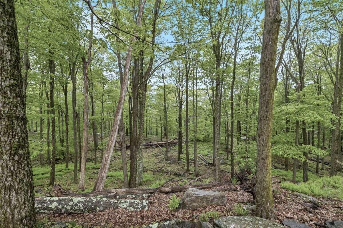 4426 Skyline Drive, Canadensis, Pennsylvania image 26