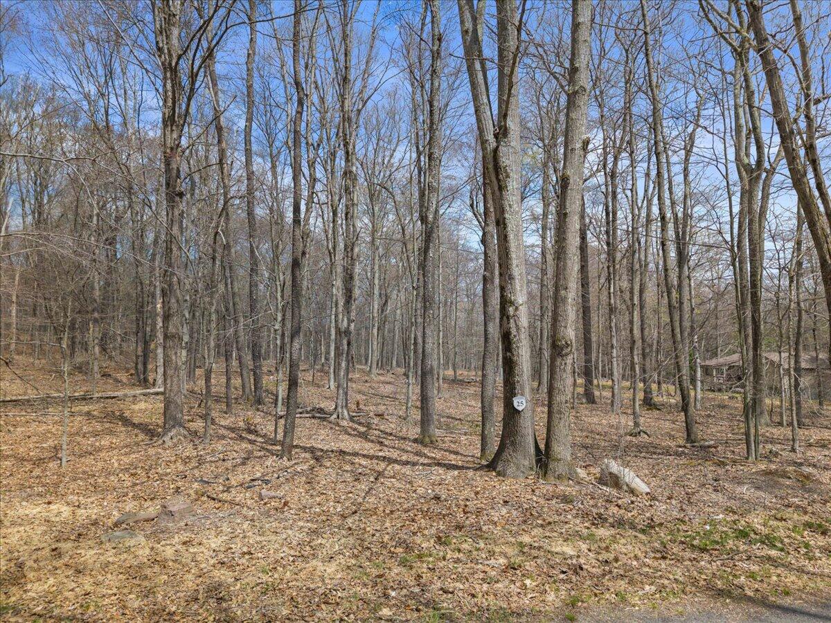 Oak Leaf Ln 25, Pocono Lake, Pennsylvania image 3