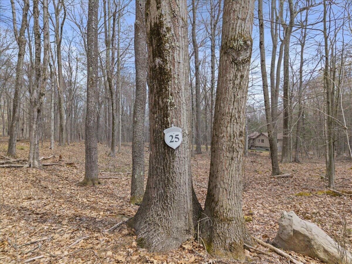 Oak Leaf Ln 25, Pocono Lake, Pennsylvania image 2