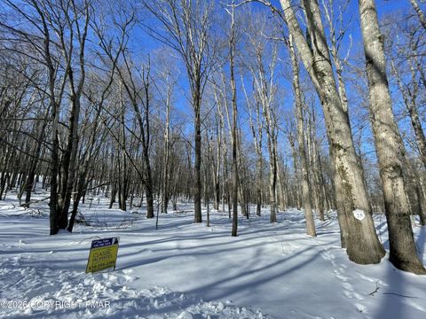 Vacant Land For Sale - Oak Leaf Ln 25<br/> Monroe County, Pocono Lake, PA 18347