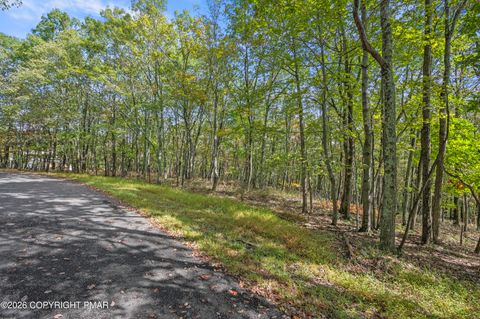 Vacant Land For Sale - Stone Ridge Road<br/> Albrightsville, PA 18210