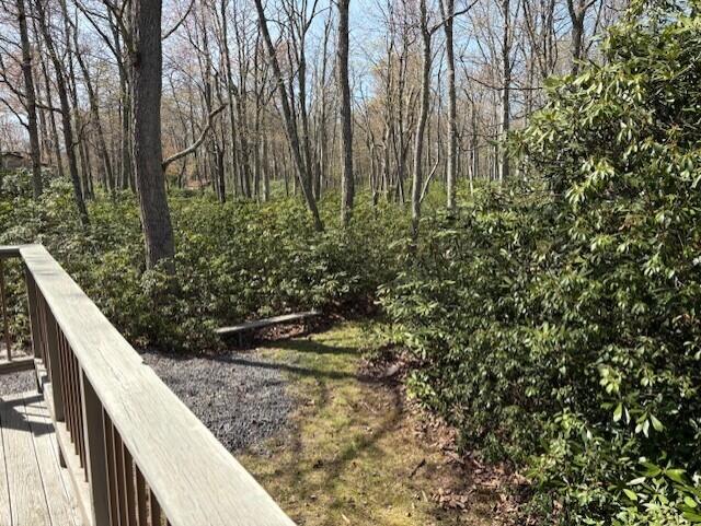 49 Algonkin Road, Jim Thorpe, Pennsylvania image 46