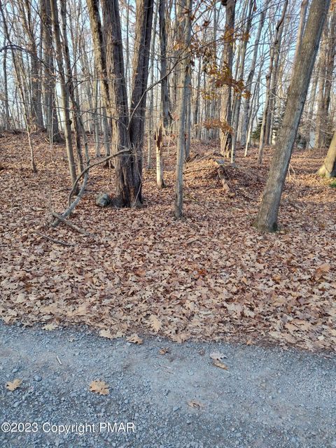 Vacant Land For Sale - 14-21-6 Omaha Trail<br/> Monroe County, Pocono Lake, PA 18347