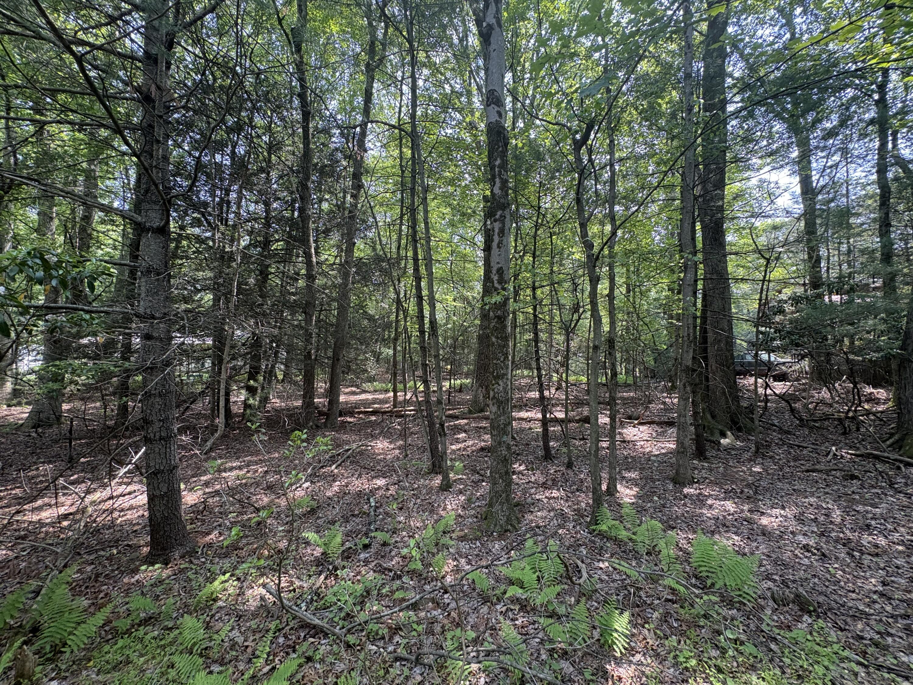 Lot 1009 Ash Lane, Kunkletown, Pennsylvania image 2