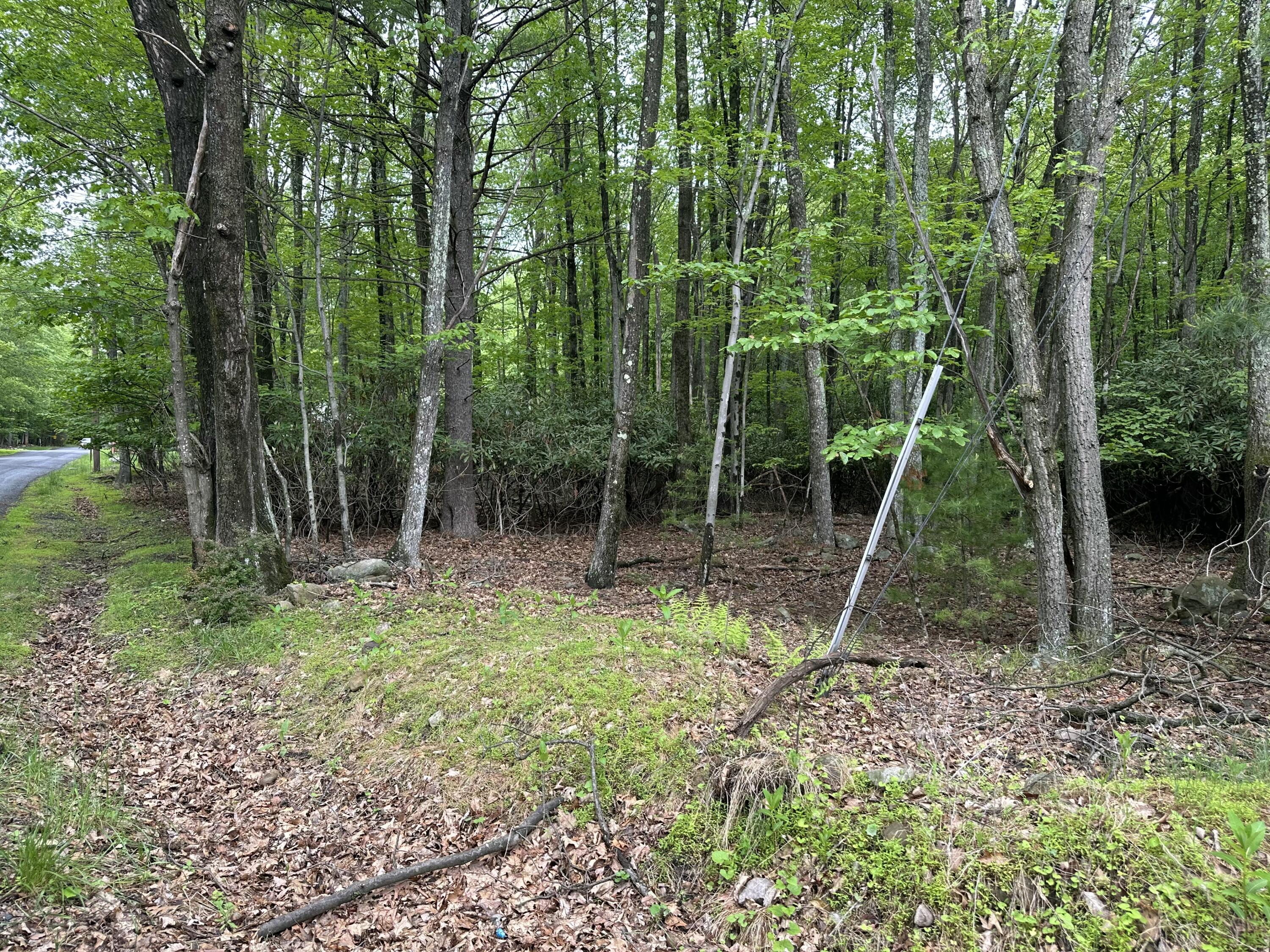 Lot K15 Lincoln Green Dr K15, Kunkletown, Pennsylvania image 3